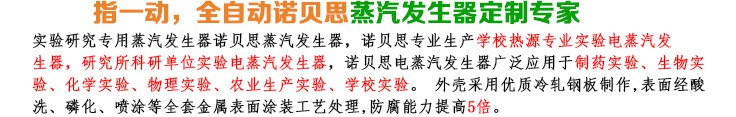 3-6-9kw實(shí)驗(yàn)研究小型蒸汽發(fā)生器