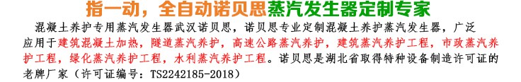 12-24kw混凝土養(yǎng)護(hù)小型蒸汽發(fā)生器簡介